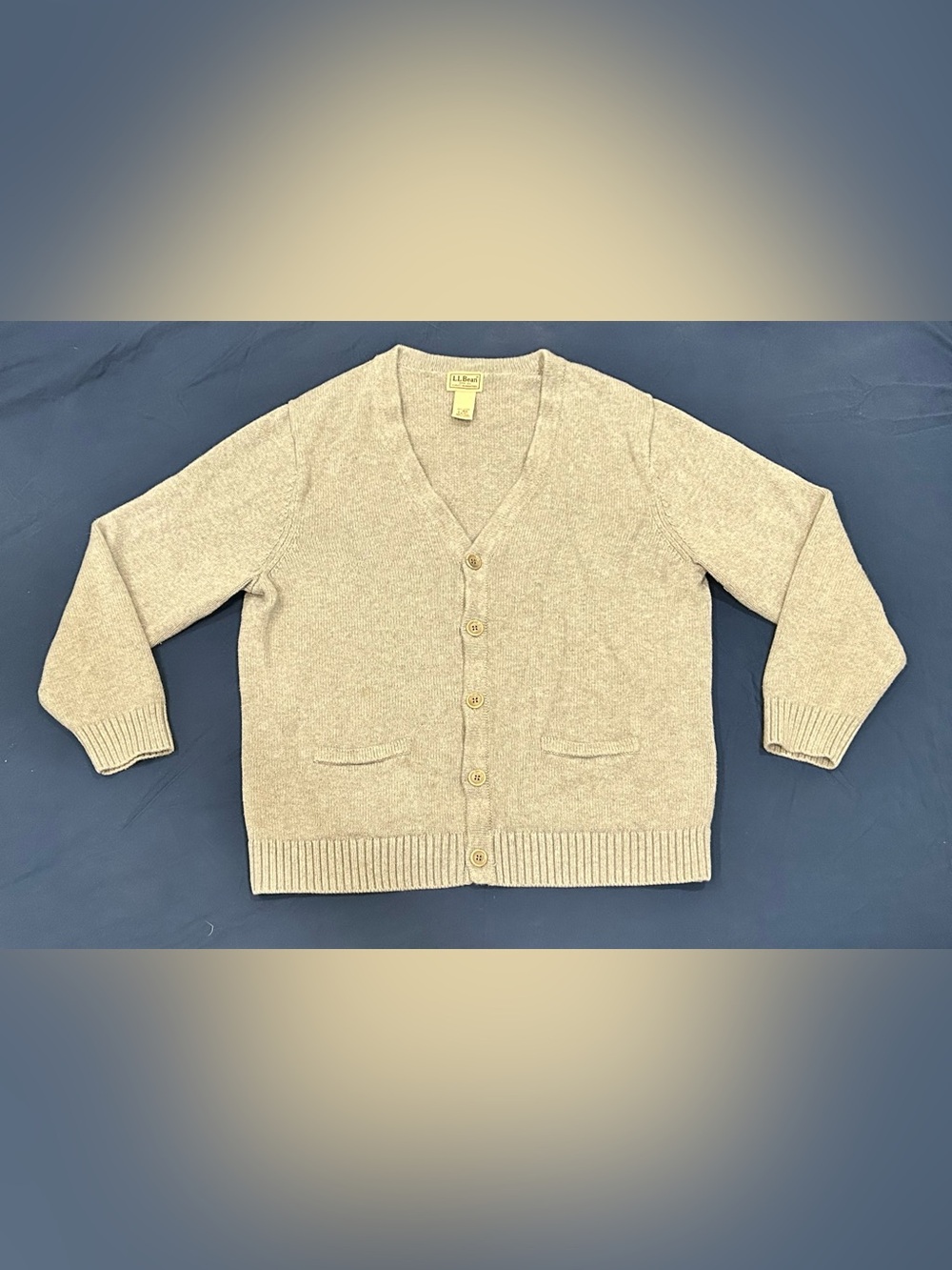 LL Bean Cardigan Mens L Gray 100% Lambswool V-Neck Button Front Pockets